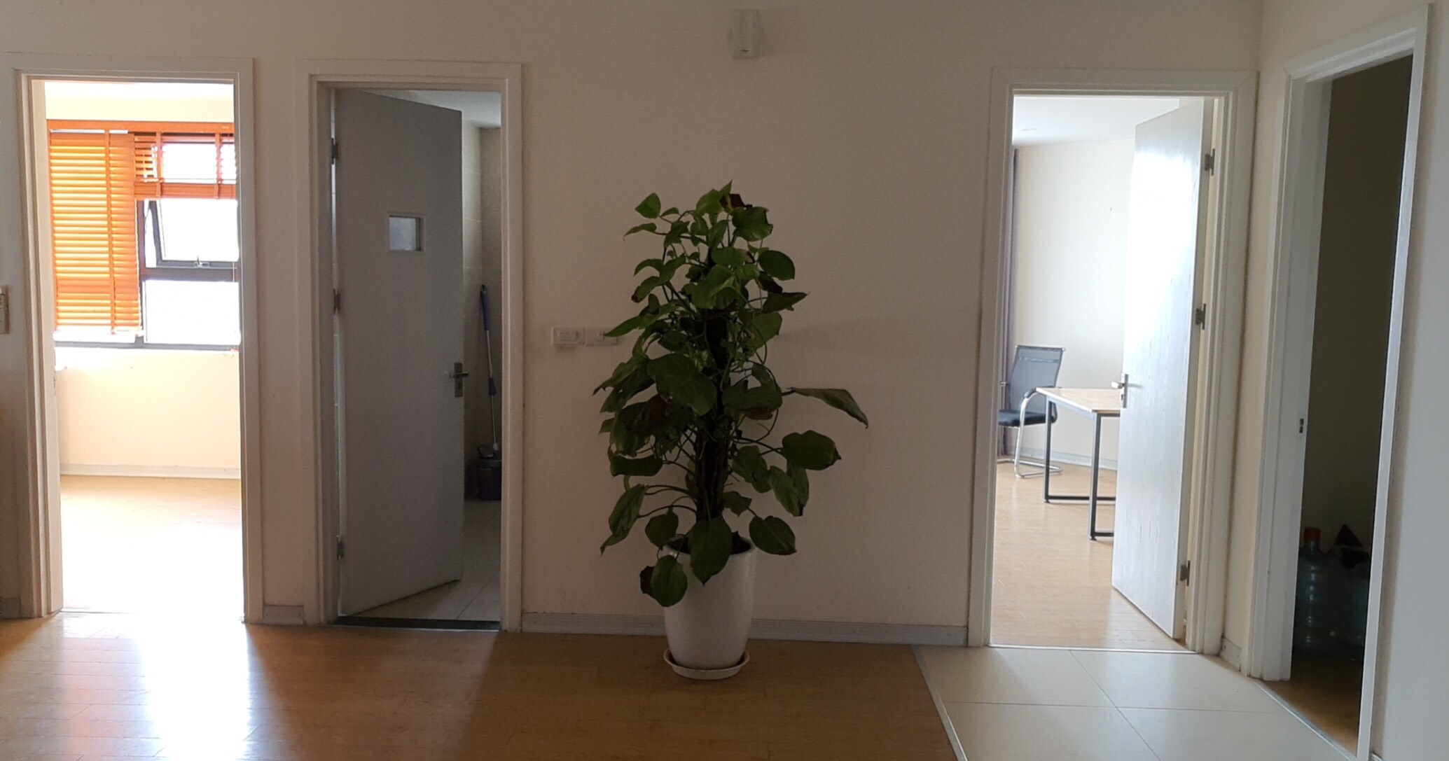 z2337686537685_33b00d7e8d3072f976d170085488824e